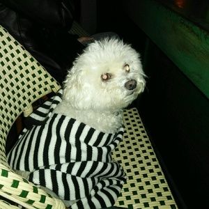 Meet your Posher, Tammy